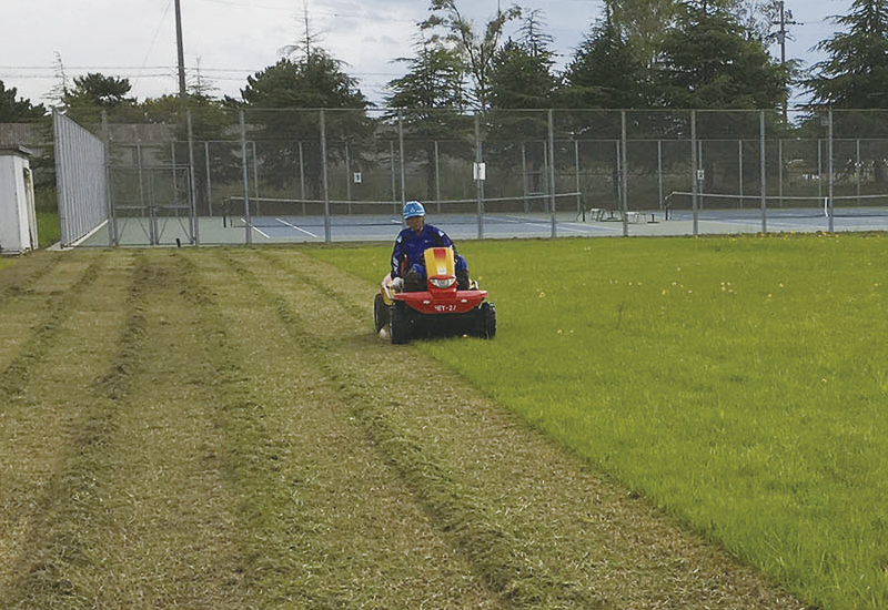 背の高い雑草を刈り取ります