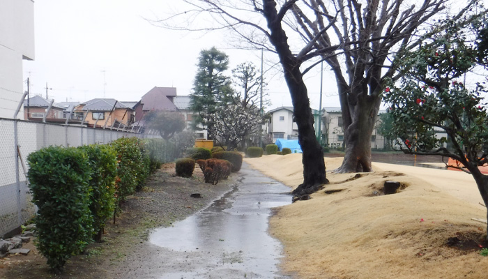 着工前の遊歩道