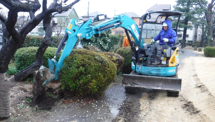 植栽の撤去