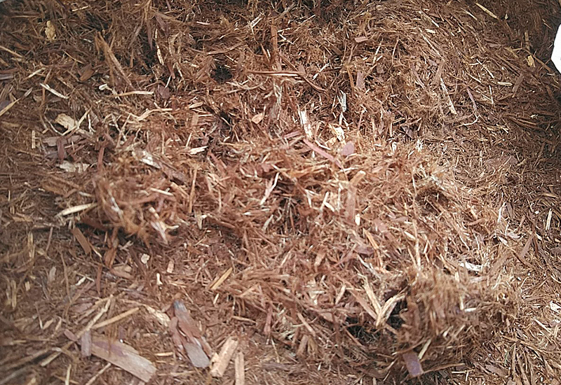 杉檜樹皮を原料としたサイプレス材を搬入