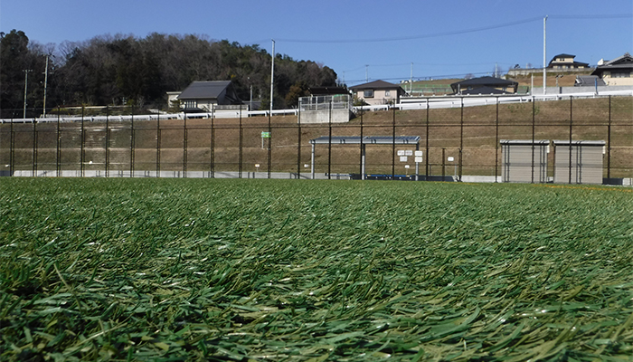 度重なる使用により寝てしまった芝