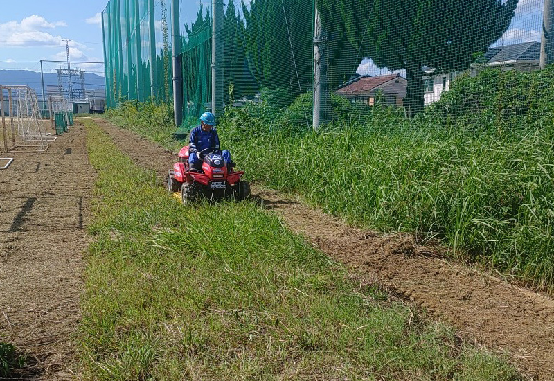 グラウンドに発生した雑草をストリングトリマーで刈り取り